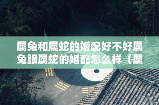 属兔和属蛇的婚配好不好属兔跟属蛇的婚配怎么样（属兔和属蛇的婚配好不好2020）