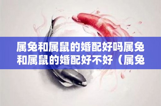 属兔和属鼠的婚配好吗属兔和属鼠的婚配好不好（属兔跟属鼠的婚配好吗）