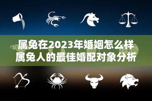 属兔在2023年婚姻怎么样属兔人的最佳婚配对象分析（属兔的在2023年的运势好不好呢）
