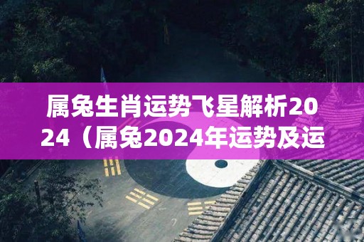 属兔生肖运势飞星解析2024（属兔2024年运势及运程_2022年属兔人的全年运势）