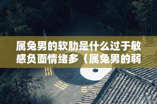 属兔男的软肋是什么过于敏感负面情绪多（属兔男的弱点是什么）