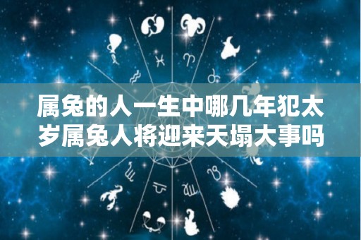 属兔的人一生中哪几年犯太岁属兔人将迎来天塌大事吗（属兔的在什么年犯太岁）