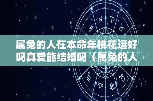 属兔的人在本命年桃花运好吗真爱能结婚吗（属兔的人本命年好不好）