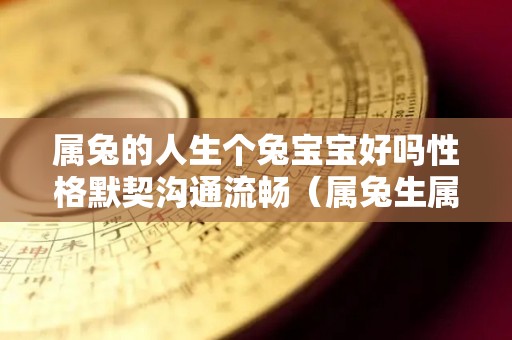 属兔的人生个兔宝宝好吗性格默契沟通流畅（属兔生属兔的孩子）