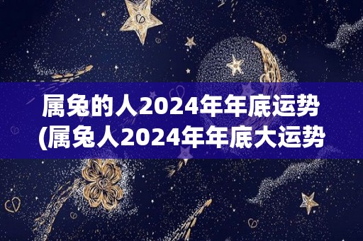 属兔的人2024年年底运势(属兔人2024年年底大运势)