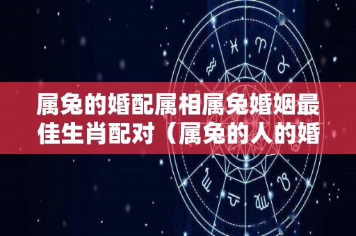 属兔的婚配属相属兔婚姻最佳生肖配对（属兔的人的婚配属相）