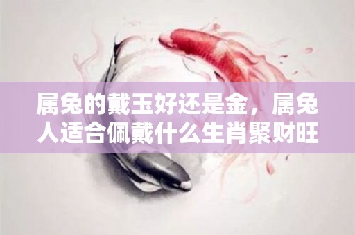 属兔的戴玉好还是金，属兔人适合佩戴什么生肖聚财旺宅（属兔的戴玉有什么讲究）