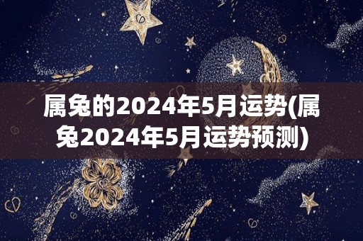 属兔的2024年5月运势(属兔2024年5月运势预测)