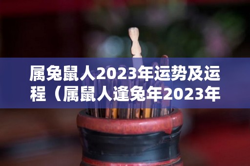 属兔鼠人2023年运势及运程（属鼠人逢兔年2023年）