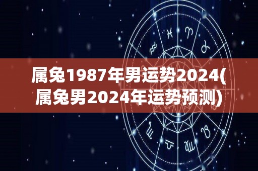 属兔1987年男运势2024(属兔男2024年运势预测)