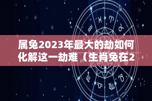 属兔2023年最大的劫如何化解这一劫难（生肖兔在2023年的运势以及注意月份）