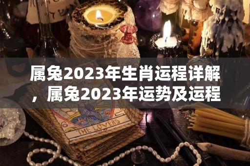 属兔2023年生肖运程详解，属兔2023年运势及运程