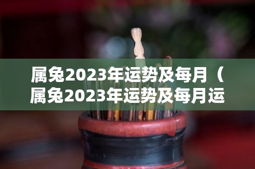 属兔2023年运势及每月（属兔2023年运势及每月运程详解）