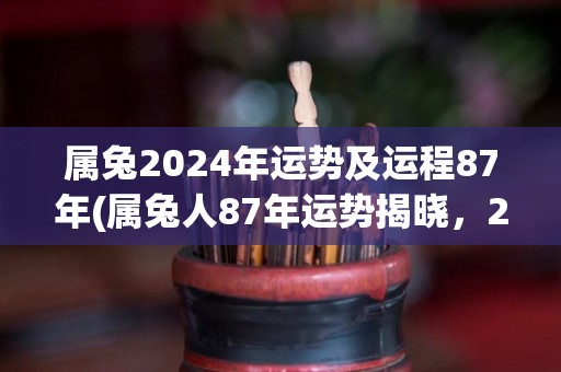 属兔2024年运势及运程87年(属兔人87年运势揭晓，2024年财运旺盛)