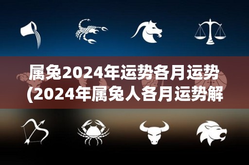 属兔2024年运势各月运势(2024年属兔人各月运势解读)