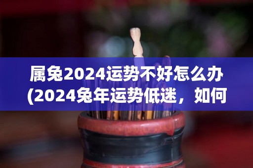 属兔2024运势不好怎么办(2024兔年运势低迷，如何化险为夷？)