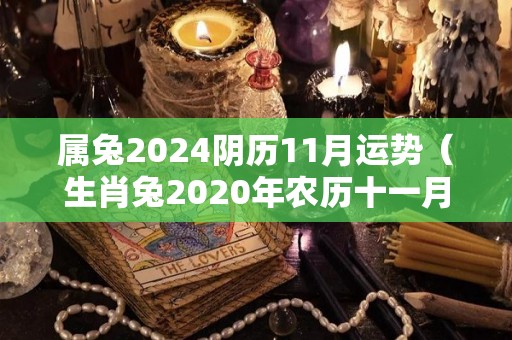 属兔2024阴历11月运势（生肖兔2020年农历十一月运势）