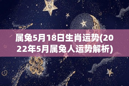 属兔5月18日生肖运势(2022年5月属兔人运势解析)