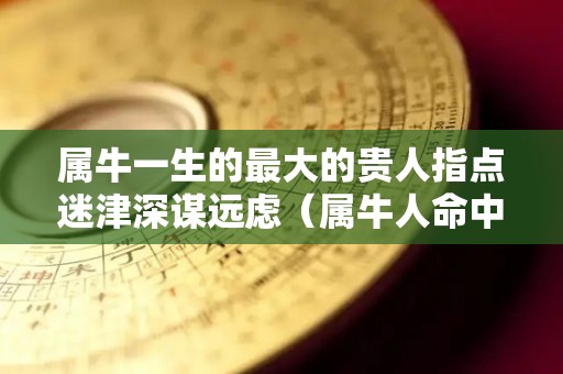 属牛一生的最大的贵人指点迷津深谋远虑（属牛人命中注定的贵人是谁）
