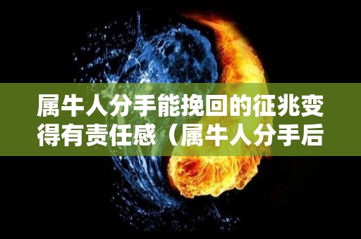属牛人分手能挽回的征兆变得有责任感（属牛人分手后会回头吗）