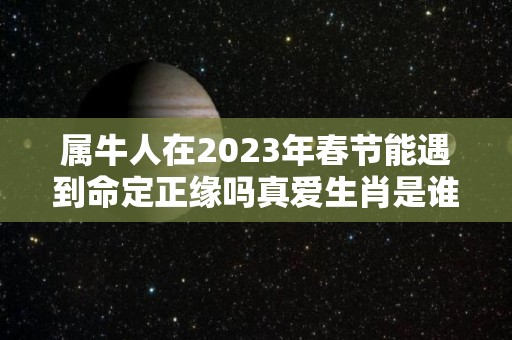 属牛人在2023年春节能遇到命定正缘吗真爱生肖是谁（属牛 2023）