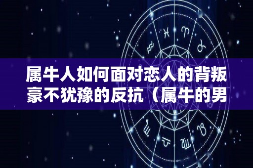 属牛人如何面对恋人的背叛豪不犹豫的反抗（属牛的男人怎样对待爱情的?）