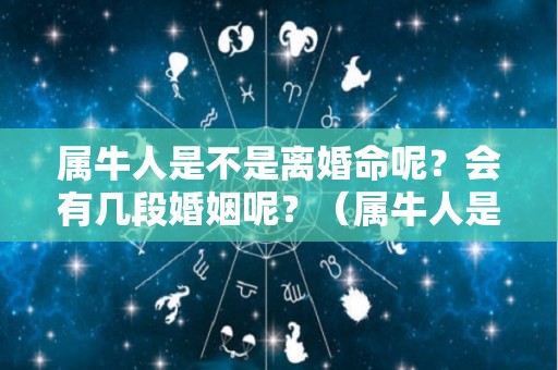属牛人是不是离婚命呢？会有几段婚姻呢？（属牛人是不是离婚命呢?会有几段婚姻呢视频）