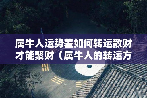属牛人运势差如何转运散财才能聚财（属牛人的转运方式）