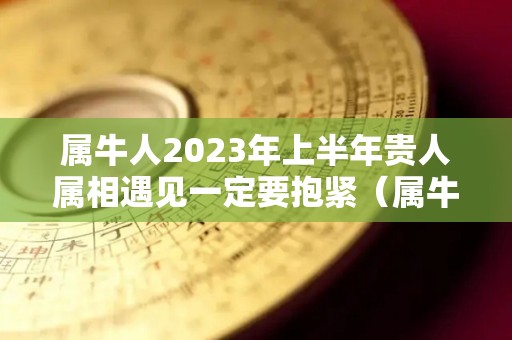 属牛人2023年上半年贵人属相遇见一定要抱紧（属牛人在2023年运气怎么样）