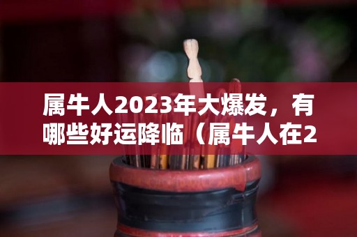 属牛人2023年大爆发，有哪些好运降临（属牛人在2023年的运势怎么样）