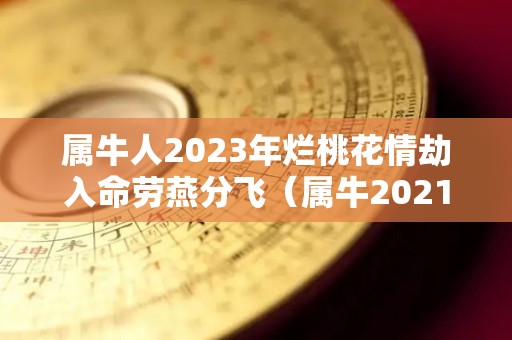 属牛人2023年烂桃花情劫入命劳燕分飞（属牛2021年烂桃花）