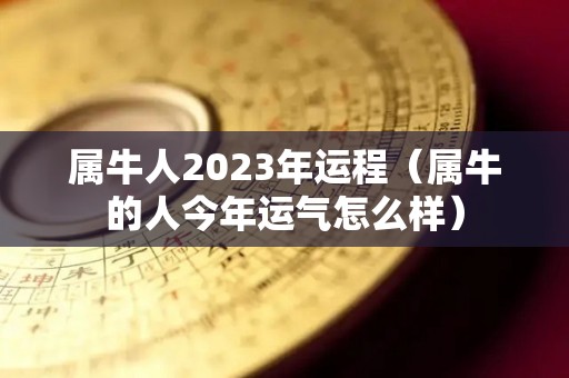 属牛人2023年运程（属牛的人今年运气怎么样）