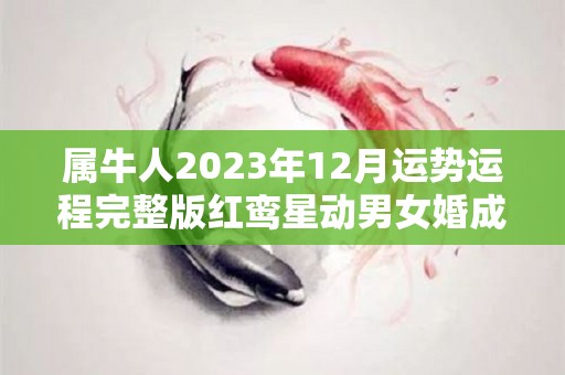 属牛人2023年12月运势运程完整版红鸾星动男女婚成（属牛在2023年每个月运势）