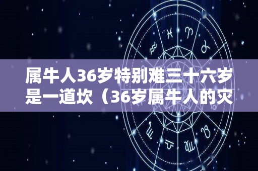 属牛人36岁特别难三十六岁是一道坎（36岁属牛人的灾难年龄）