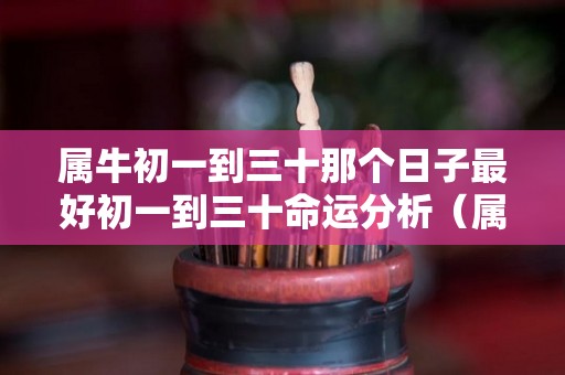 属牛初一到三十那个日子最好初一到三十命运分析（属牛的初一出生好不好）