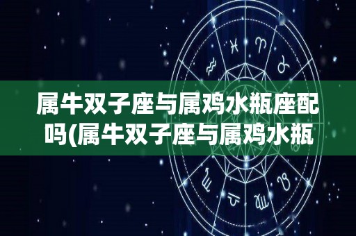 属牛双子座与属鸡水瓶座配吗(属牛双子座与属鸡水瓶座配吗女)