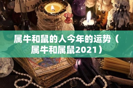 属牛和鼠的人今年的运势（属牛和属鼠2021）