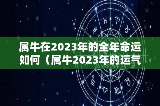 属牛在2023年的全年命运如何（属牛2023年的运气和财运怎么样）