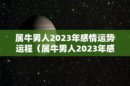 属牛男人2023年感情运势运程（属牛男人2023年感情运势运程怎么样）