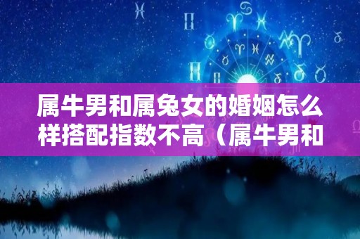 属牛男和属兔女的婚姻怎么样搭配指数不高（属牛男和属兔女配对指数是多少）