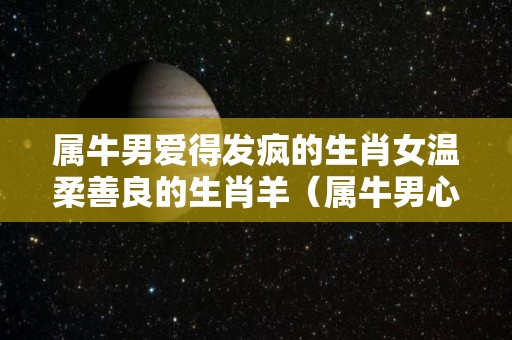 属牛男爱得发疯的生肖女温柔善良的生肖羊（属牛男心疼哪种女人）