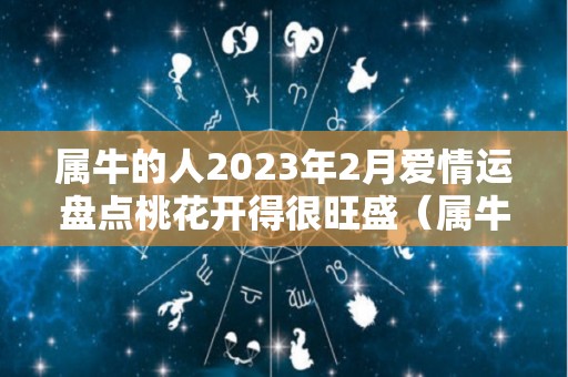 属牛的人2023年2月爱情运盘点桃花开得很旺盛（属牛的在2023年的运势好不好呢）