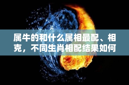 属牛的和什么属相最配、相克，不同生肖相配结果如何（属牛的和什么属相最配十二生肖）