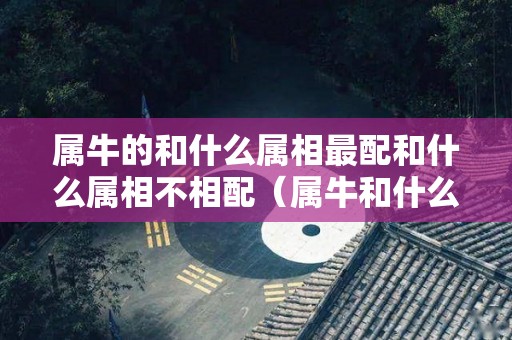 属牛的和什么属相最配和什么属相不相配（属牛和什么属相合不合）