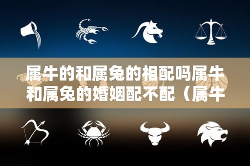 属牛的和属兔的相配吗属牛和属兔的婚姻配不配（属牛和属兔的人相配吗）