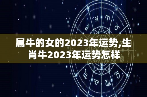 属牛的女的2023年运势,生肖牛2023年运势怎样