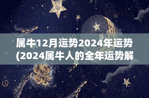 属牛12月运势2024年运势(2024属牛人的全年运势解析)