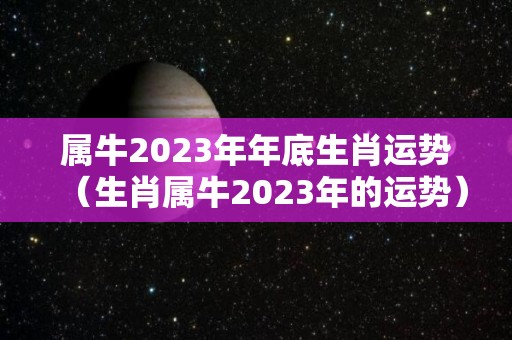 属牛2023年年底生肖运势（生肖属牛2023年的运势）