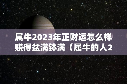 属牛2023年正财运怎么样赚得盆满钵满（属牛的人2023）
