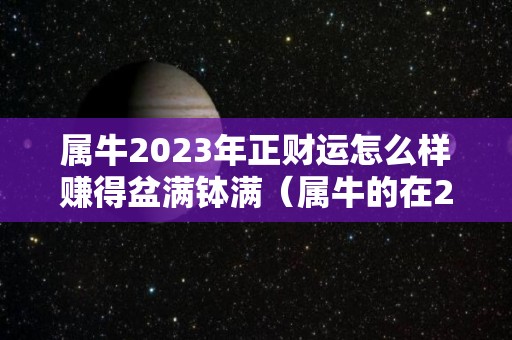 属牛2023年正财运怎么样赚得盆满钵满（属牛的在2023年的运势怎么样）